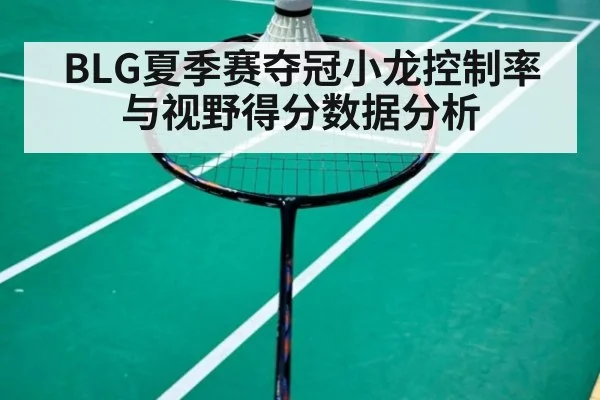 BLG夏季赛夺冠小龙控制率与视野得分数据分析 | jiuyou