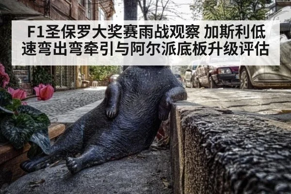 F1圣保罗大奖赛雨战观察 加斯利低速弯出弯牵引与阿尔派底板升级评估 | jiuyou